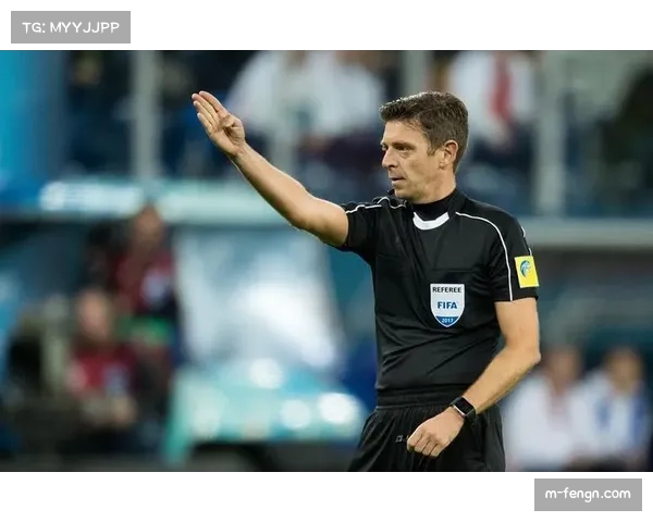 意甲考虑裁判制度改革,年轻裁判培养成重点 意甲考虑裁判制度改革,年轻裁判培养成重点