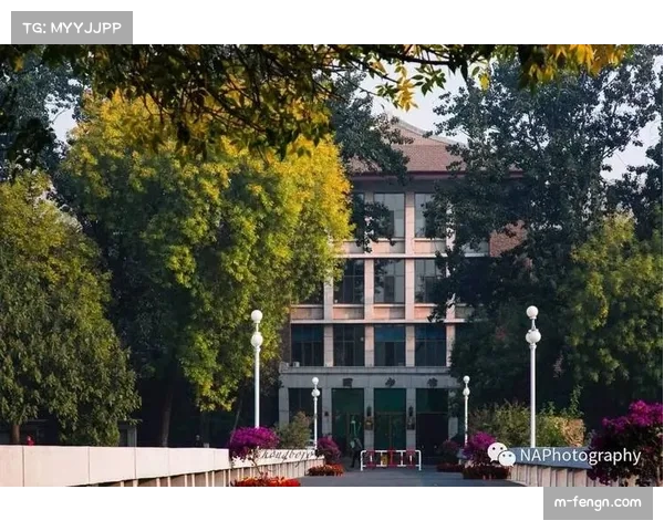 天气预报可能影响本周末多场北美大学垒球赛事,部分比赛时间调整 天气预报可能影响本周末多场北美大学垒球赛事,部分比赛时间调整